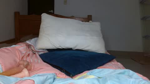 brenda online show from October 20, 2025, 4:51 pm