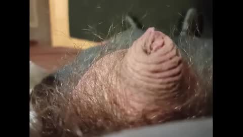 Small Hairy Uncut online show from January 27, 2025, 3:37 am