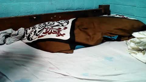 jess online show from February 7, 2025, 4:37 am