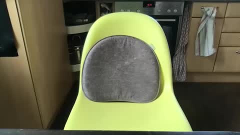 smart_sex69 online show from March 11, 2025, 11:33 am