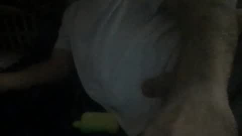 smokenfuk23 online show from November 30, 2025, 1:53 am