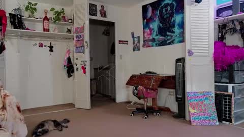 Big Dawg online show from November 11, 2025, 2:39 pm