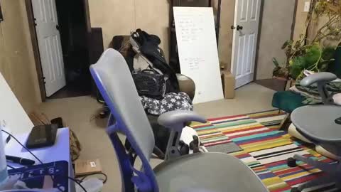 SnackMaster online show from December 18, 2024, 3:26 am