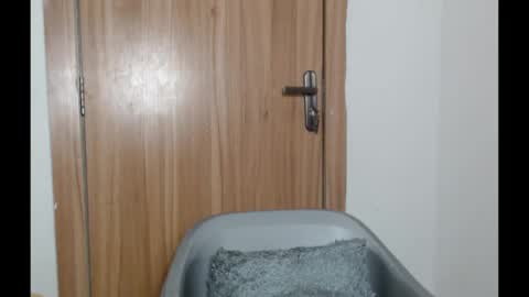 snowdrop5 online show from January 31, 2025, 11:03 pm