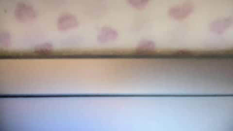 sofia8428 online show from September 22, 2025, 10:01 pm