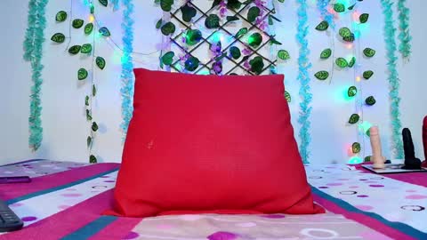 Snapshot of sofia_fer chatting on January 28, 2025, 5:43 am sofia online show from January 28, 2025, 5:43 am