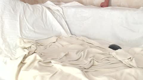 Snapshot of sofia_here chatting on January 8, 2025, 8:06 am Sofia here online show from January 8, 2025, 8:06 am