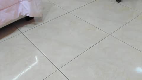 sofiaabigboobs online show from November 25, 2025, 11:54 am