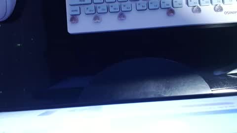 SOFIA NIX online show from January 13, 2025, 6:06 am