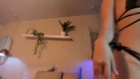 Snapshot of sofii_wild chatting on June 19, 2026, 1:48 pm sofii_wild online show from June 19, 2026, 1:48 pm