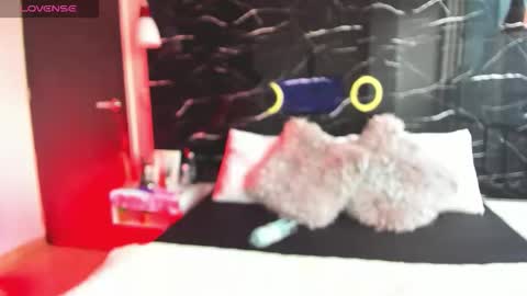 Sofia online show from November 14, 2025, 11:53 am