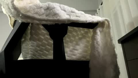 Snapshot of softlygirl chatting on May 14, 2026, 7:53 pm softlygirl online show from May 14, 2026, 7:53 pm