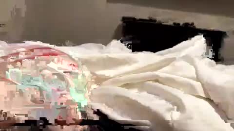 softslickandsweet online show from February 4, 2025, 6:49 pm