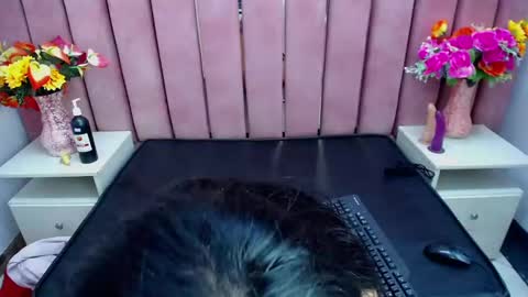 sophi_hardd online show from December 13, 2024, 10:13 pm