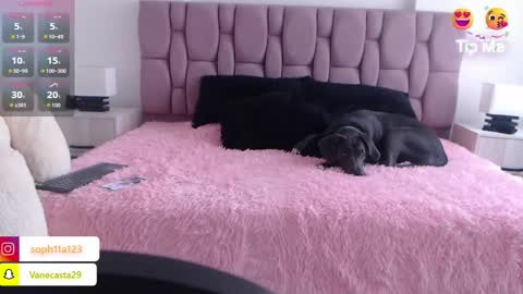 Sophia Carson online show from January 1, 2025, 5:11 pm