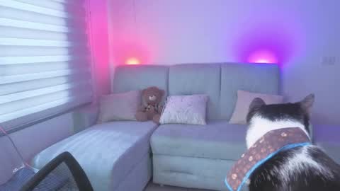 Snapshot of sophie_bbs chatting on May 25, 2026, 3:18 pm Sophie online show from May 25, 2026, 3:18 pm