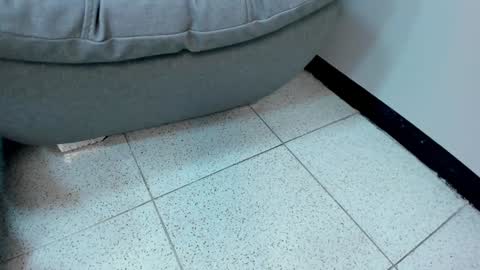 Snapshot of sophieharris__ chatting on January 18, 2025, 5:41 am sophieharris__ online show from January 18, 2025, 5:41 am