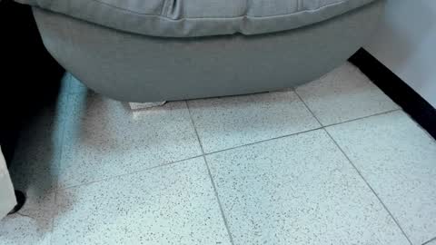 Snapshot of sophieharris__ chatting on January 23, 2025, 11:36 pm sophieharris__ online show from January 23, 2025, 11:36 pm