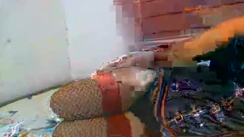 Soulless Jenica online show from April 21, 2026, 2:26 am