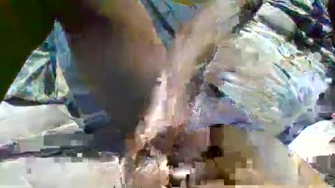 source1012 online show from January 16, 2025, 11:59 pm