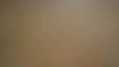 soveryhandsome online show from December 21, 2024, 10:39 am