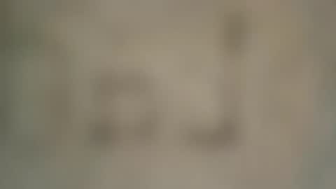 soveryhandsome online show from February 4, 2025, 7:33 pm