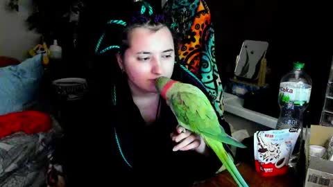 Snapshot of spanking_girls chatting on June 5, 2026, 9:53 pm Evgenia online show from June 5, 2026, 9:53 pm