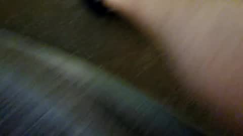 species online show from December 31, 2024, 10:15 am