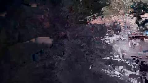 spider00969 online show from February 24, 2026, 2:42 am