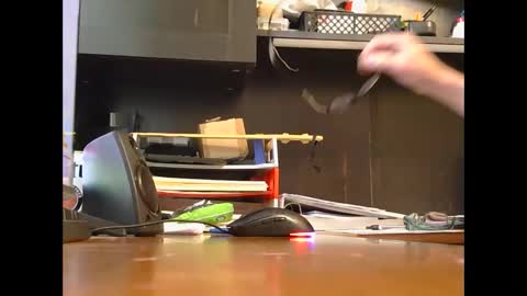 spoiler5 online show from December 3, 2025, 3:43 pm