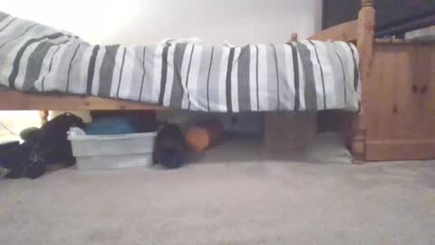 Sportyguy283 online show from March 4, 2025, 10:05 pm