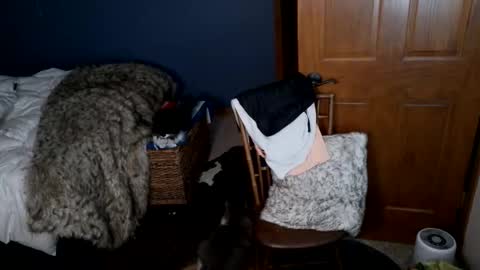 Snapshot of spun_redneck chatting on March 31, 2026, 9:21 am Spun Redneck online show from March 31, 2026, 9:21 am