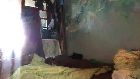 srekos38 online show from October 7, 2025, 6:32 am