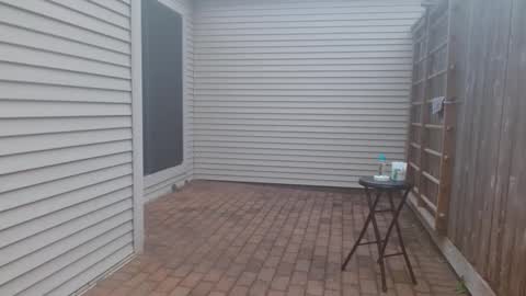 srtxshow online show from March 3, 2025, 11:24 pm