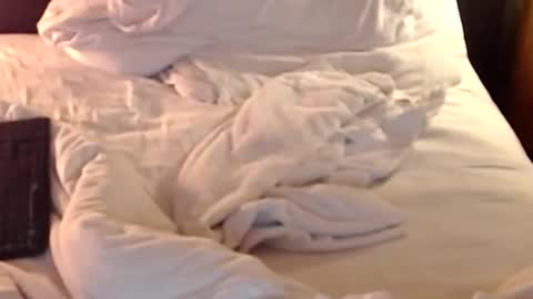 st8llion online show from January 11, 2025, 2:41 am