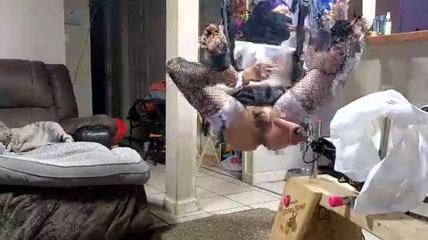 Submissive Slut LOVES adoration online show from November 12, 2025, 7:20 am