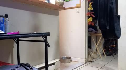 Submissive Slut LOVES adoration online show from November 20, 2025, 3:18 am