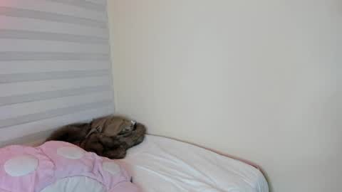 Snapshot of starlie_ chatting on August 9, 2026, 3:23 am Alisson online show from August 9, 2026, 3:23 am