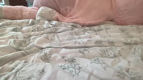 Stassiethatsororitygirl online show from February 22, 2025, 8:53 pm