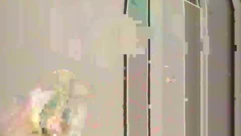 steedmont online show from November 30, 2025, 11:31 pm