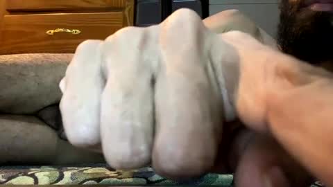 Lobo del Antiguo Oriente online show from March 29, 2026, 5:40 am