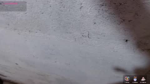 stefany_pablo1 online show from November 1, 2025, 12:51 pm