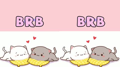 STEFFAN online show from February 16, 2025, 5:37 am