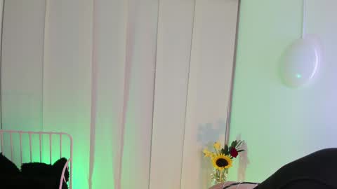 Steffy online show from January 6, 2025, 6:58 am