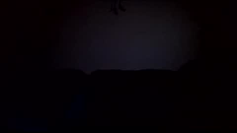 stefy1037 online show from February 19, 2025, 6:55 am