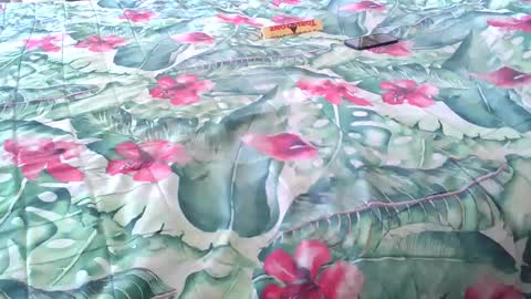 Snapshot of stel7621 chatting on April 4, 2026, 2:14 pm Rocco-load online show from April 4, 2026, 2:14 pm