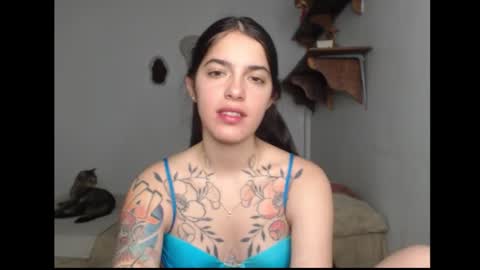 Stella online show from February 13, 2026, 2:40 am