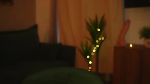 Stella online show from January 8, 2025, 7:03 am