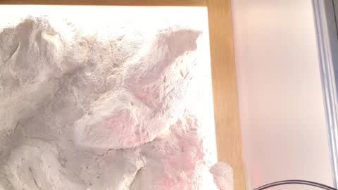 S T E L L A online show from February 28, 2026, 11:06 pm