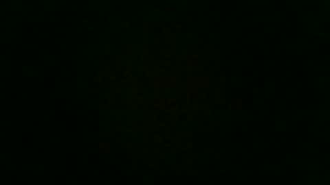 stensurfarn online show from December 2, 2025, 12:43 pm